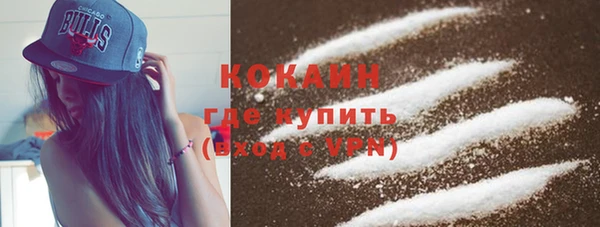 мяу мяу мука Аркадак