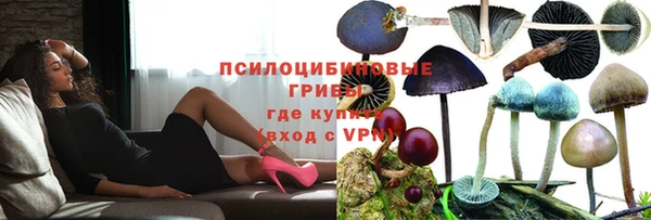 мяу мяу мука Аркадак