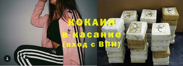 мяу мяу мука Аркадак