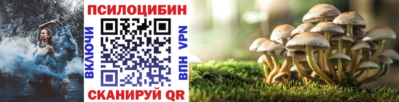 цены наркотик  Первомайск  ссылка на мегу зеркало  Галлюциногенные грибы GOLDEN TEACHER 